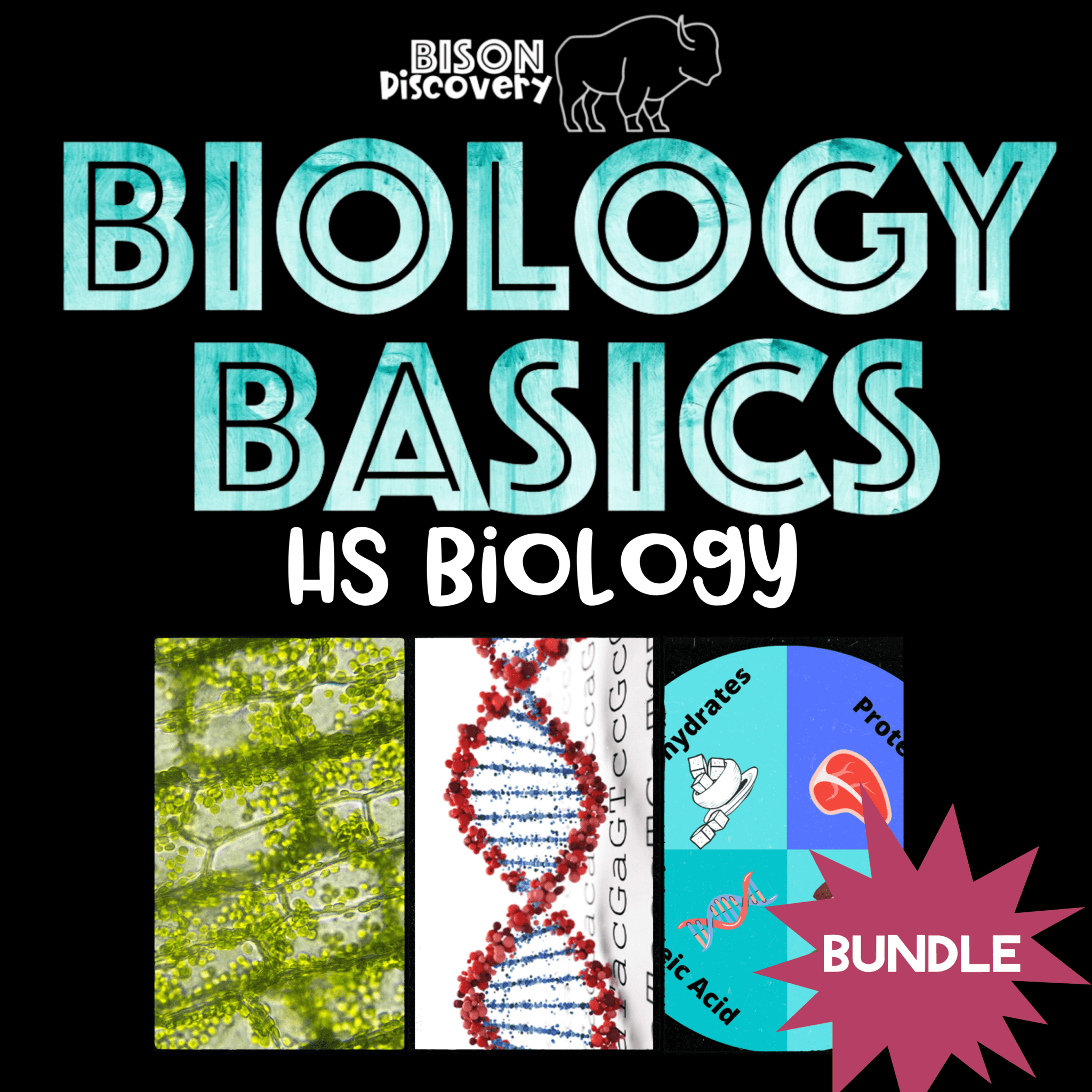 Biology Basics Bundle - Bison Discovery Low Prep Biology Lessons