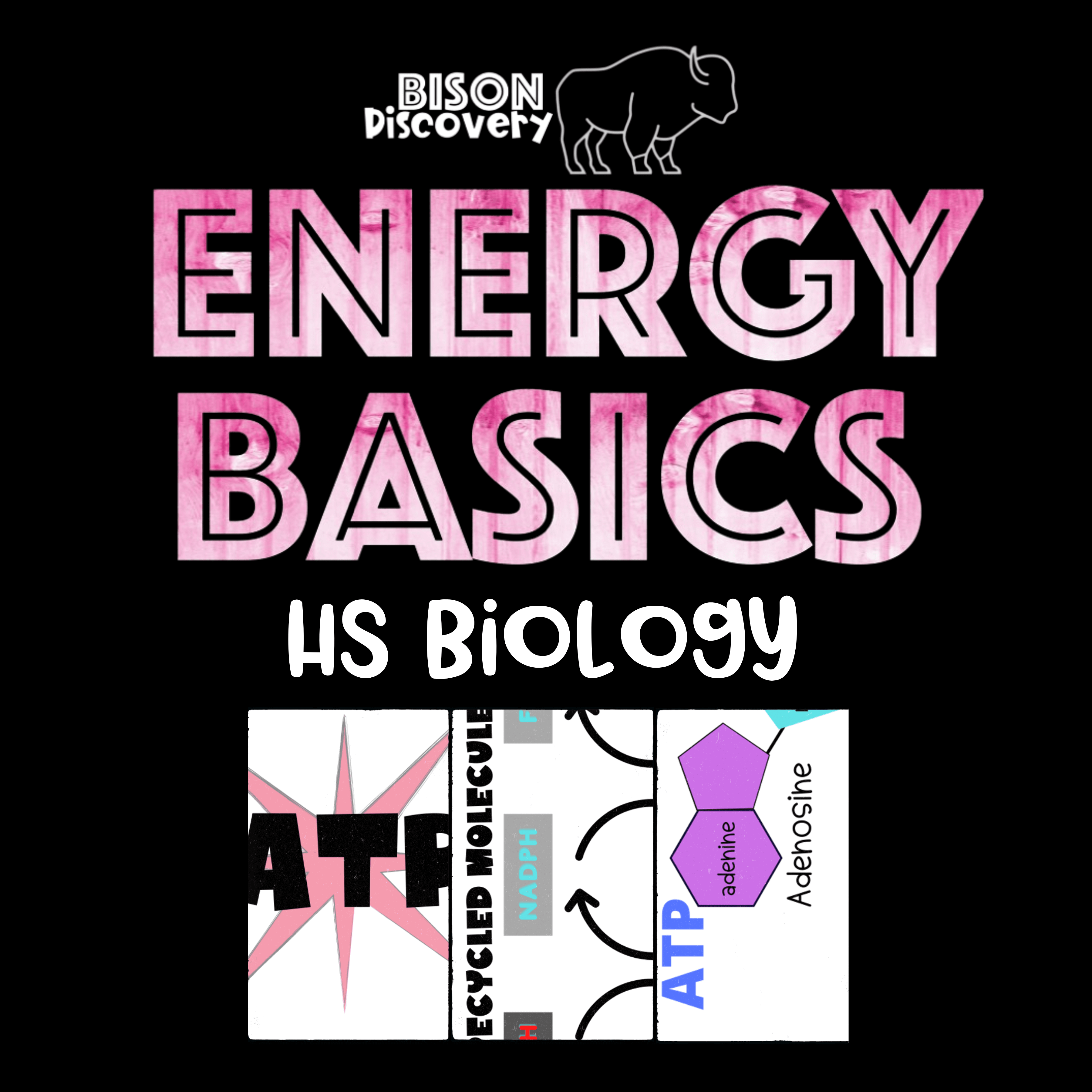 Energy Basics - Bison Discovery - Low Prep Biology Lesson