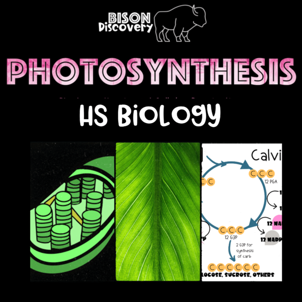 Photosynthesis - Bison Discovery - Low Prep Biology Lesson