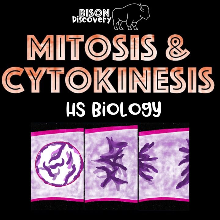 Mitosis & Cytokinesis - Bison Discovery - Low Prep Biology Lesson