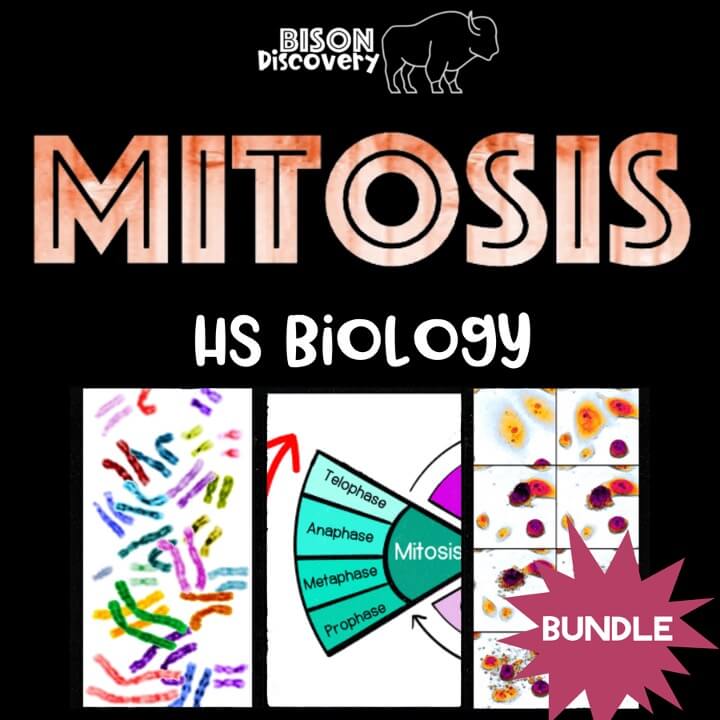 Mitosis Bundle - Bison Discovery - Low Prep Biology Lesson