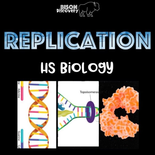 Replication - Bison Discovery - Low Prep Biology Lesson