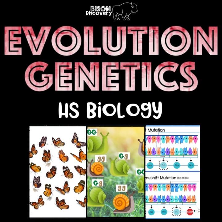 Evolution Genetics - Bison Discovery - Low Prep Biology Lesson