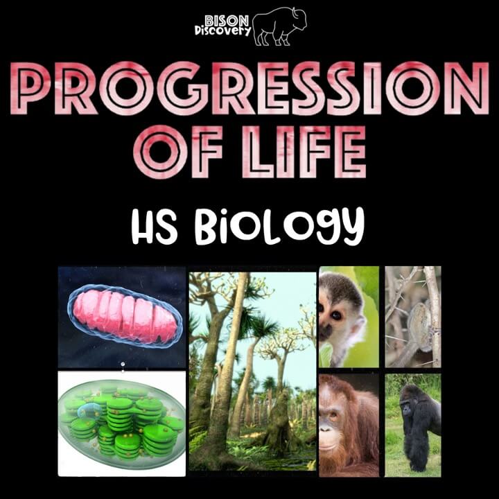 Progression Of Life - Bison Discovery - Low Prep Biology Lesson