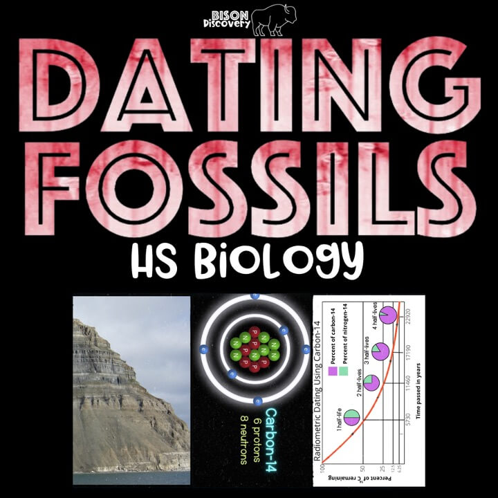 Dating Fossils - Bison Discovery - Low Prep Biology Lesson