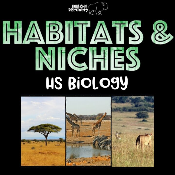 Habitats & Niches - Bison Discovery - Low Prep Biology Lesson