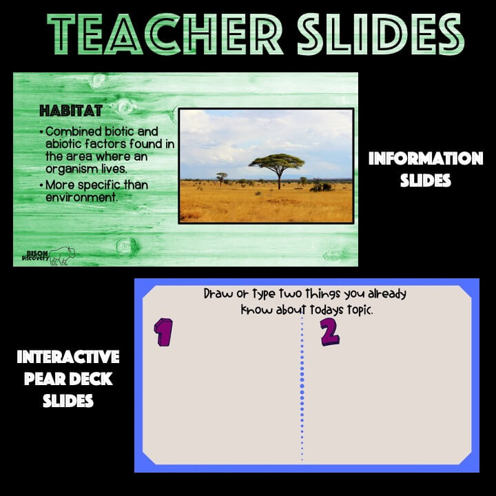 Habitats & Niches - Bison Discovery - Low Prep Biology Lesson