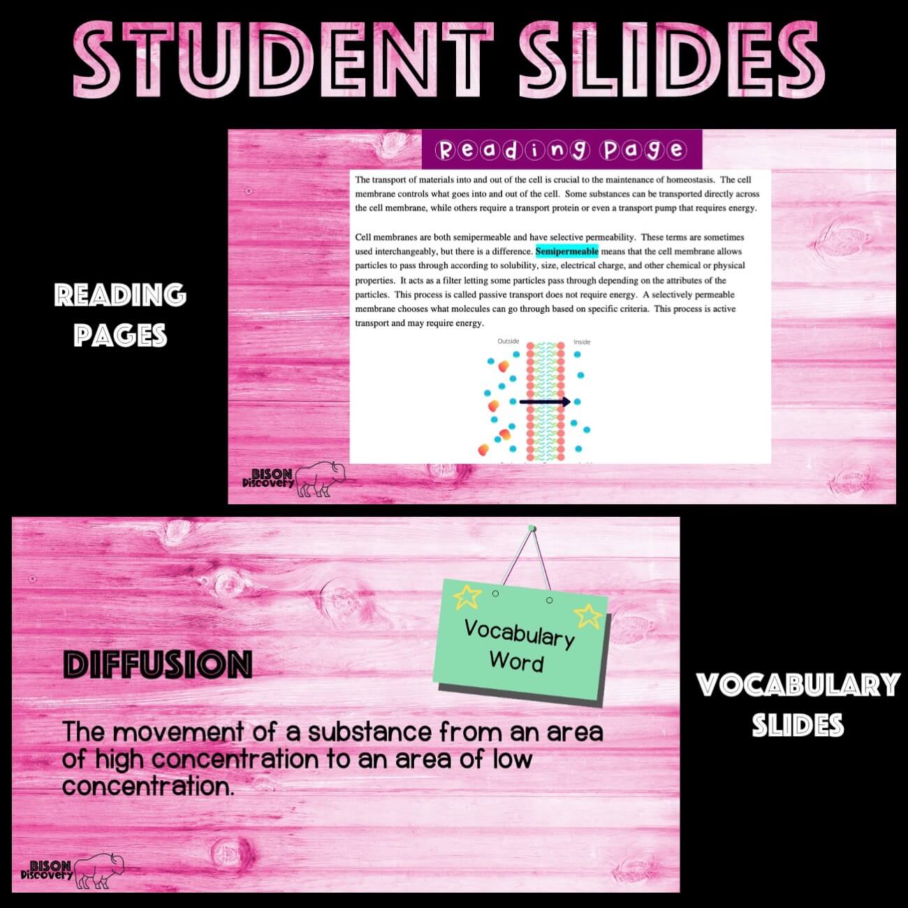 passive-transport-bison-discovery-low-prep-biology-lesson