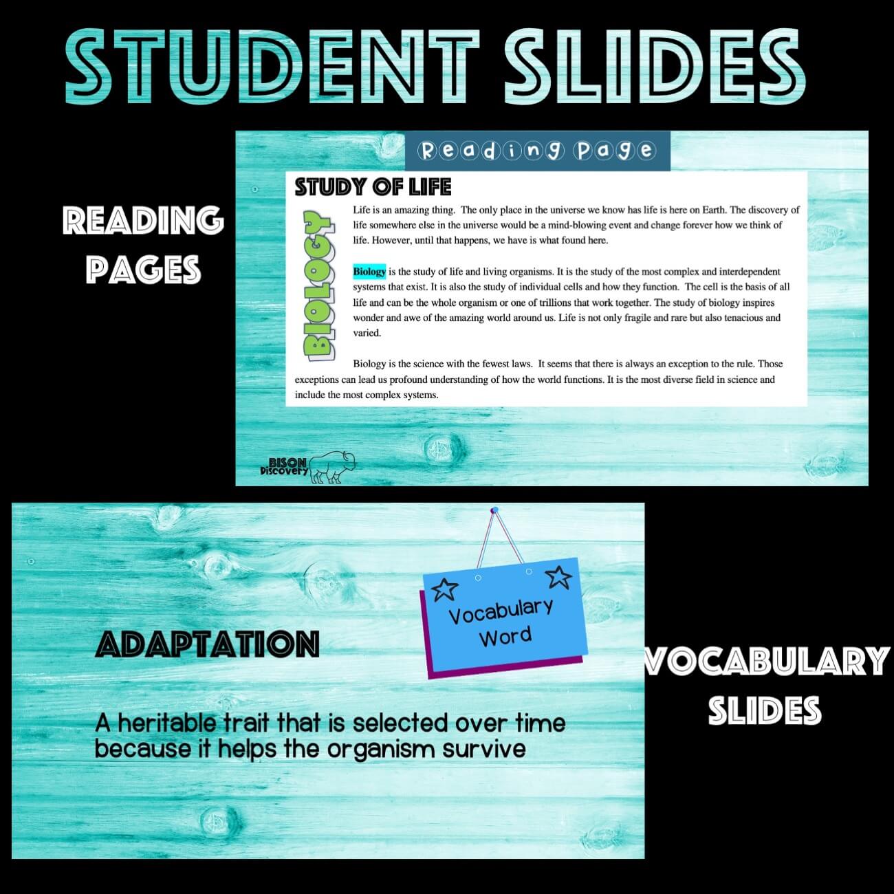 Study Of Life - Bison Discovery - Low Prep Biology Lesson