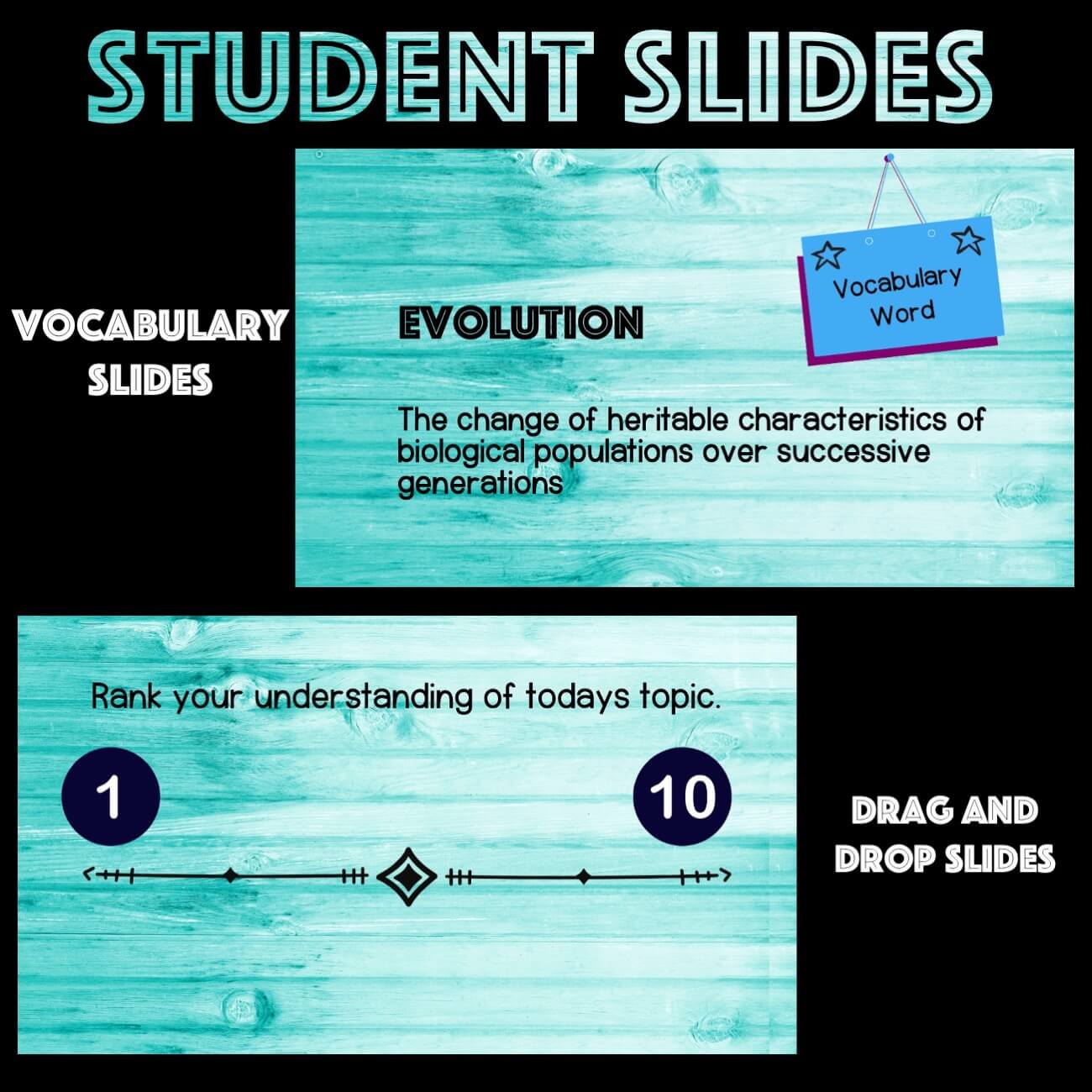 Theory - Bison Discovery - Low Prep Biology Lesson