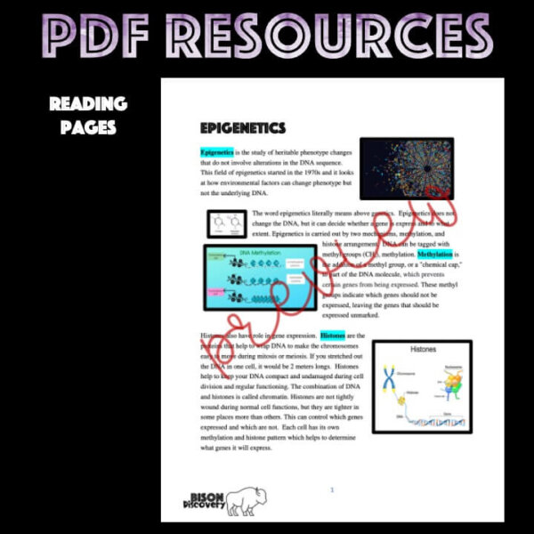 Epigenetics - Bison Discovery - Low Prep Biology Lesson