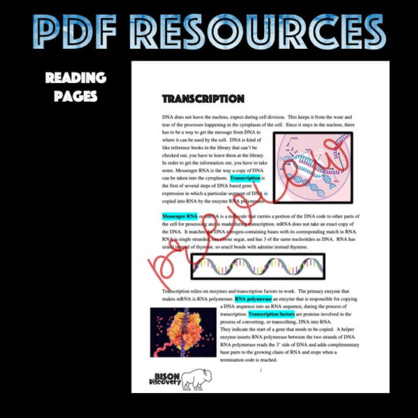 Transcription - Bison Discovery - Low Prep Biology Lesson