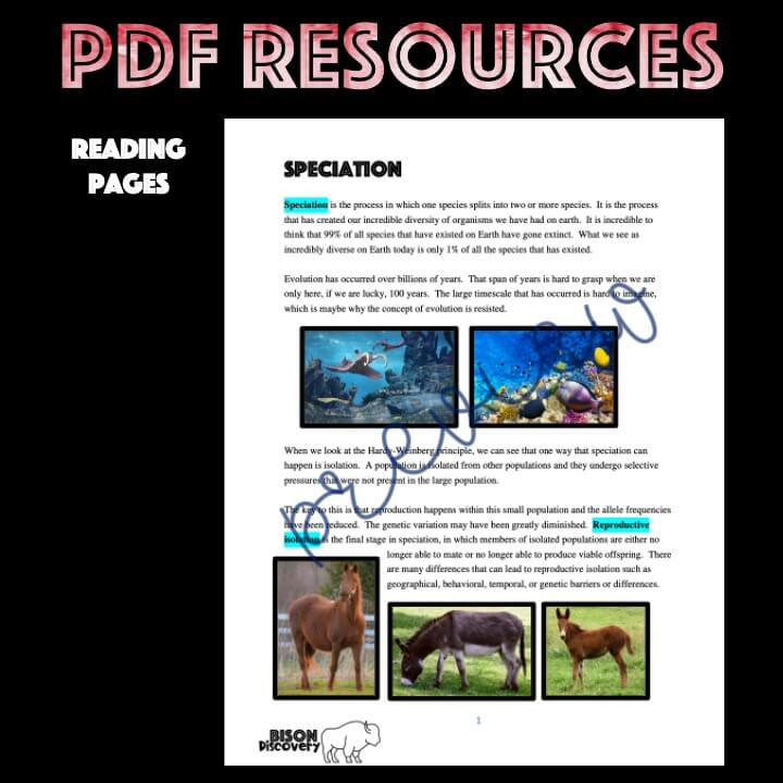 Speciation - Bison Discovery - Low Prep Biology Lesson