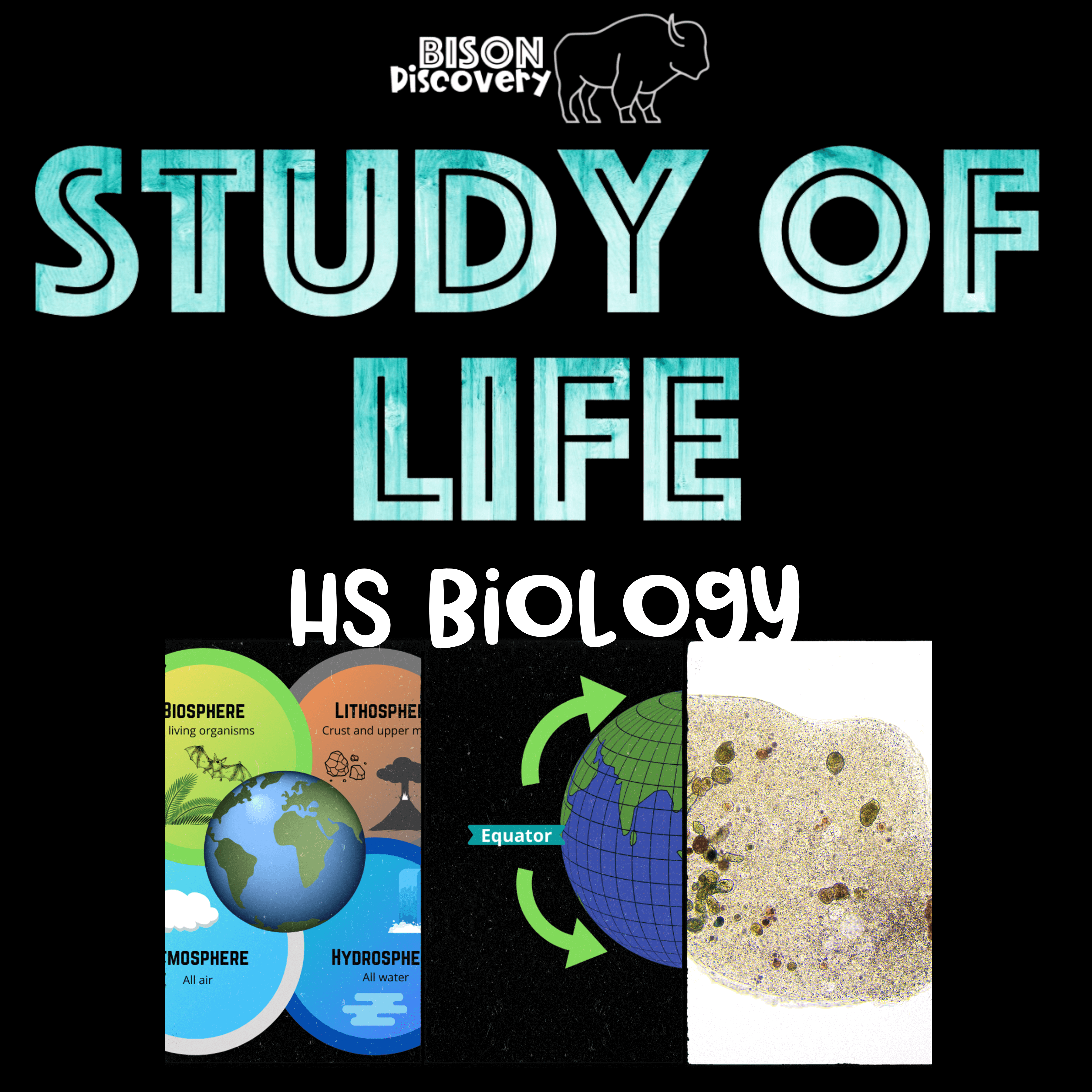 Study Of Life - Bison Discovery - Low Prep Biology Lesson